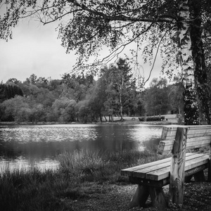 湖边黑白相间的长椅图片