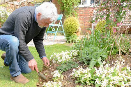 在阳光明媚的日子里,人们在外面种花和园艺照片