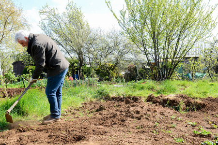 种菜花在一个配给花园里准备种菜的人照片