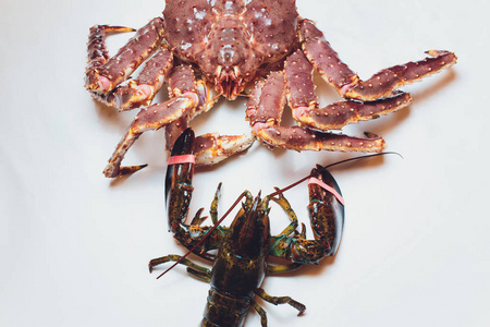 帝王蟹和龙虾生活在一个白色的背景上.照片