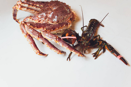 帝王蟹和龙虾生活在一个白色的背景上.照片