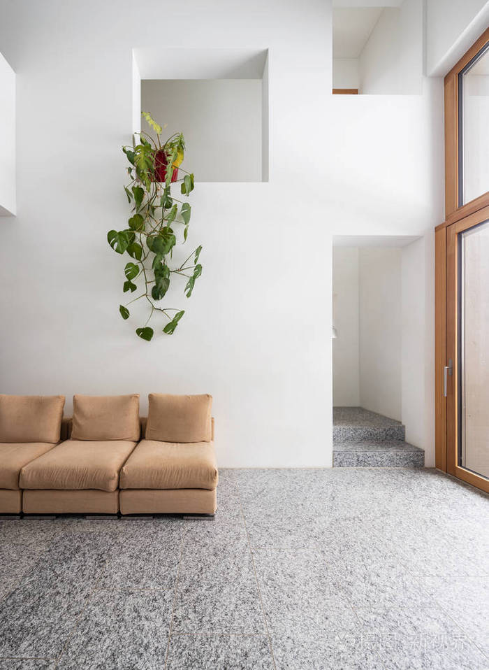 带花岗岩沙发植物和楼梯的正视图