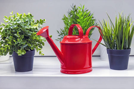红色水壶用来浇花和植物的红色水壶.照片