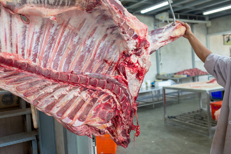 屠宰加工牛肉在泰国屠宰场的牛肉或屠宰牛.照片