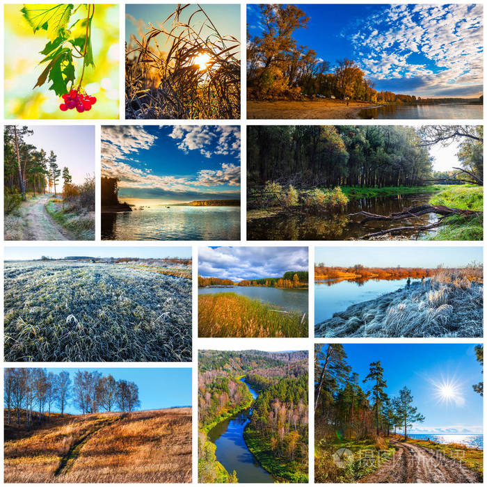 Collage Seasons. Autumn. The Nature Of Western Siberia