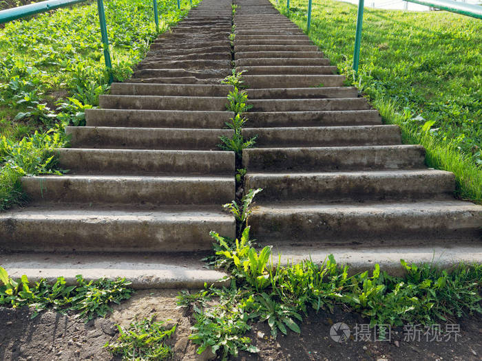 青草陡坡上的混凝土楼梯