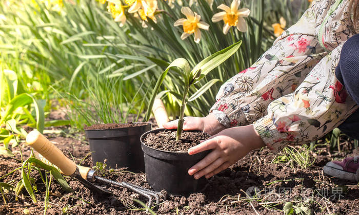 小女孩在花园里种花