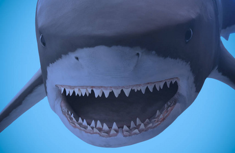 巨鲨鱼a portrait of the jaws of a great white shark 照片