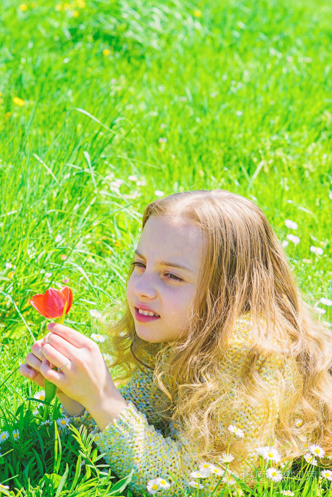 孩子躺在草地上享受郁金香的芬芳阳光明媚的春日笑脸女孩捧着红郁金香