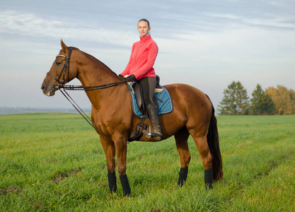 布琼尼马术 动物 水钻 哺乳动物 布琼尼 肖像 秋天 夏天 天空照片