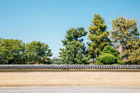 日本京都东治寺传统园林图片