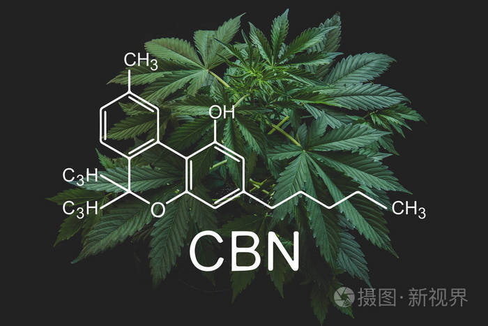 Cbn配方 大麻素 医用大麻 大麻种植业 大麻产业 暴君生意 大麻 大麻素和健康中的cbd和thc元素 照片 正版商用图片2iyf63 摄图新视界