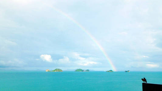情侣情人可爱的小鸟喜欢雨后天空,大海,海洋上的彩虹照片