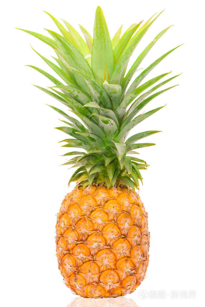 熟的白背菠萝照片-正版商用图片2j0oef-摄图新视界