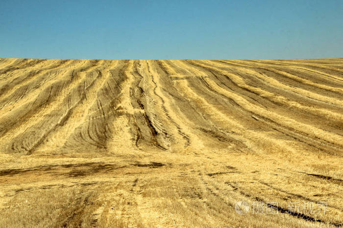 背景纹理坡地上的稻草上的泉水