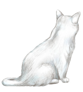 拿着红铅笔可爱的狮子卡通拿着铅笔小女孩用铅笔画画有趣的小猫和鱼 t