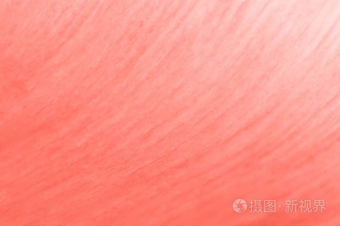 时尚珊瑚色花卉背景