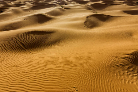 突尼斯撒哈拉沙漠中沙丘的涟漪图片