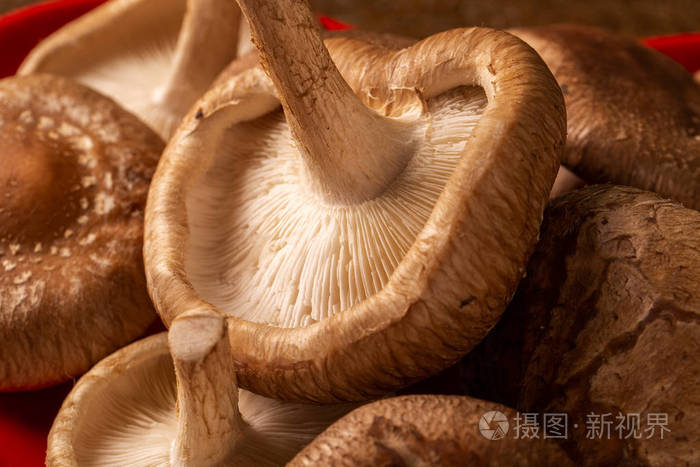 Shitake Mushroom on Wood Background 