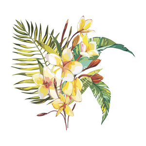 水彩手绘热带粉红色的火烈鸟和鸡蛋花白色背景上孤立美丽的鸡蛋花孤立