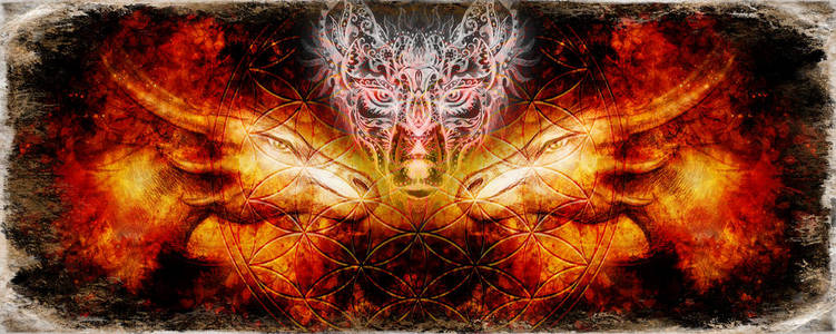 太空中的宇宙龙,宇宙抽象的背景和生命之花与观赏狼.照片