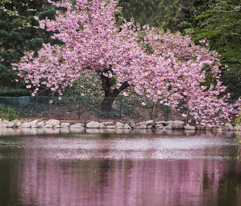 春暖花开春暖花开图片