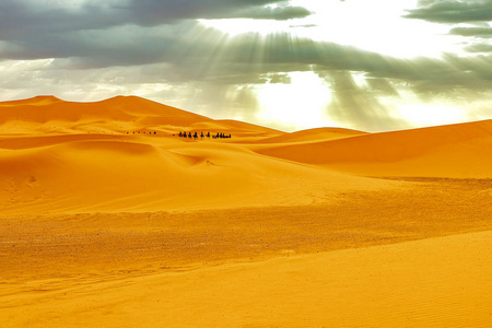 穿越撒哈拉沙漠沙丘的商队图片