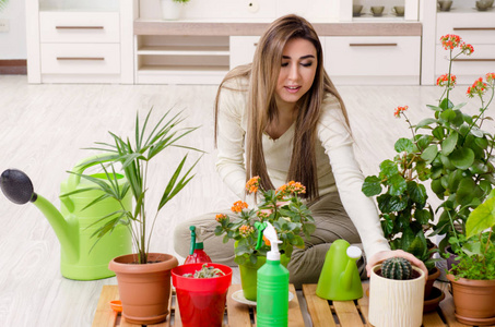 室内种植植物的年轻女园丁图片