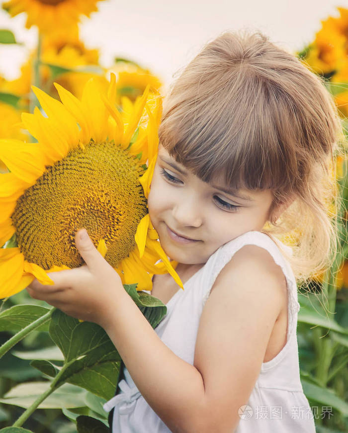 向日葵地里的孩子是个小农夫选择性聚焦