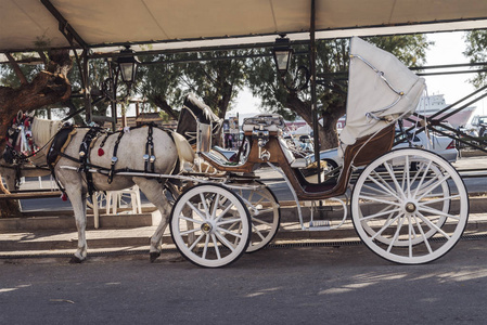 一匹白马,码头上有一辆步行的白色马车照片
