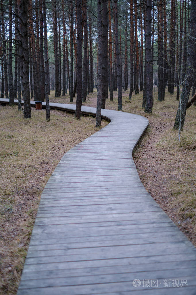 海边沙丘上的木板路