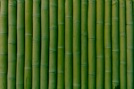 一排绿色的竹子垂直排列图片