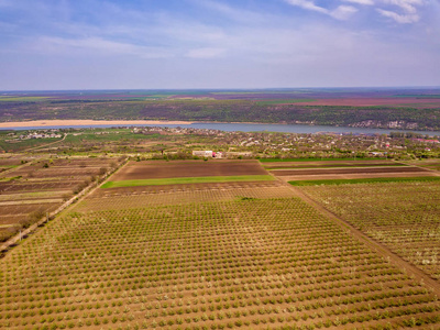 春天苹果园的鸟瞰图.照片