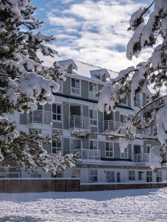 加拿大温哥华冬季低层住宅景观