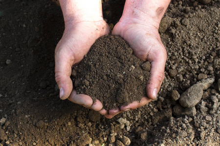 人类手上潮湿土壤的特写镜头照片
