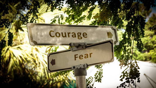 勇气与恐惧的路标图片