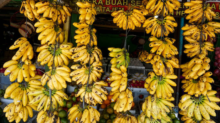 印尼传统市场的水果店出售排列整齐,陈列在店前的香蕉照片-正版商用图