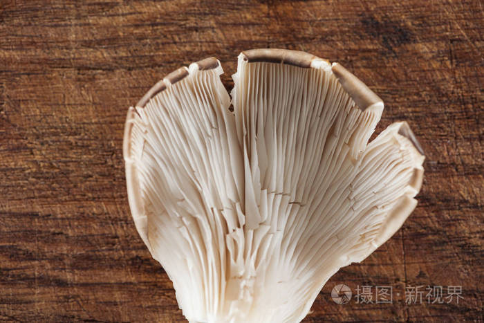 食物 纹理 美味的 素食主义者 未加工 木材 营养 蘑菇