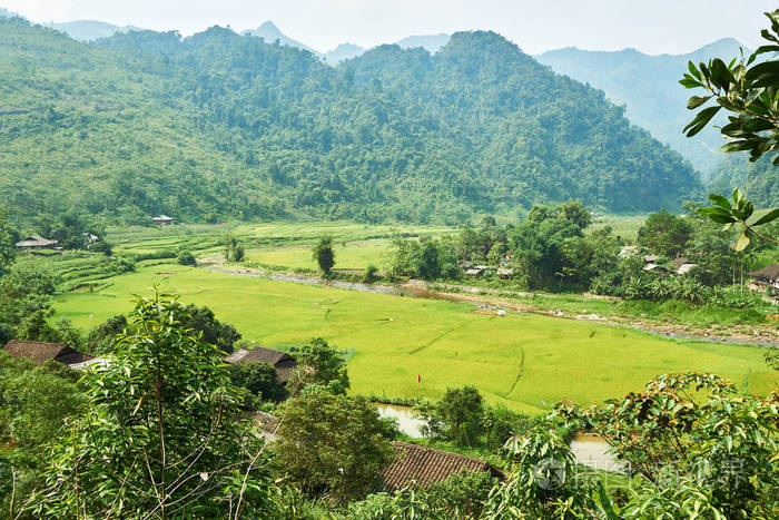 越南北部山区的稻田下江环线美丽的风景摩托车旅行