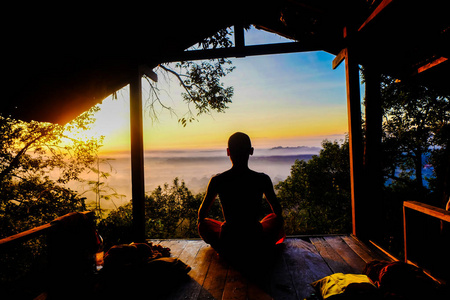 热带森林禅修照片