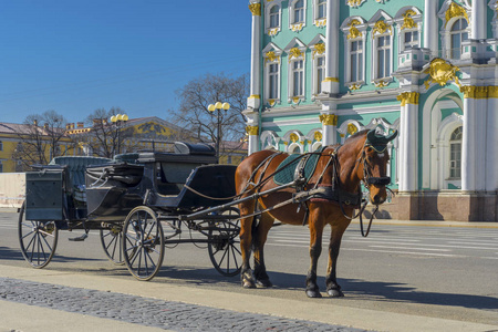俄罗斯圣彼得堡宫殿广场冬宫hermitage博物馆前的老式复古马车.