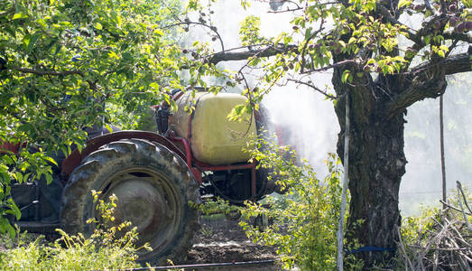 拖拉机在苹果园喷洒杀虫剂图片