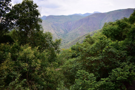 科代卡纳尔山鼠尾瀑布景观图片