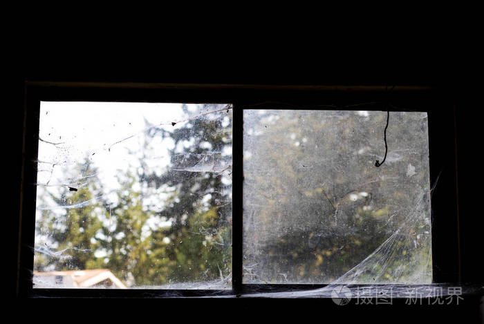 脏兮兮的被忽视的蜘蛛网遮住的窗户望向森林