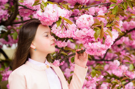 樱花树背景的粉红色花朵上的孩子.喜欢樱花或樱花的女孩.
