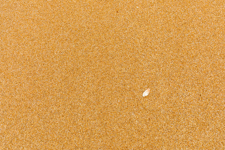 砂质结构.棕色的沙子.背景照片