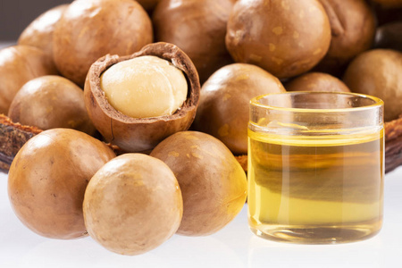 坚果和澳洲坚果油-澳洲坚果.白色背景照片