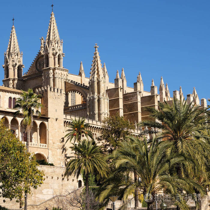 帕尔马马洛卡大教堂圣母玛利亚拉瑟阳光侧视图