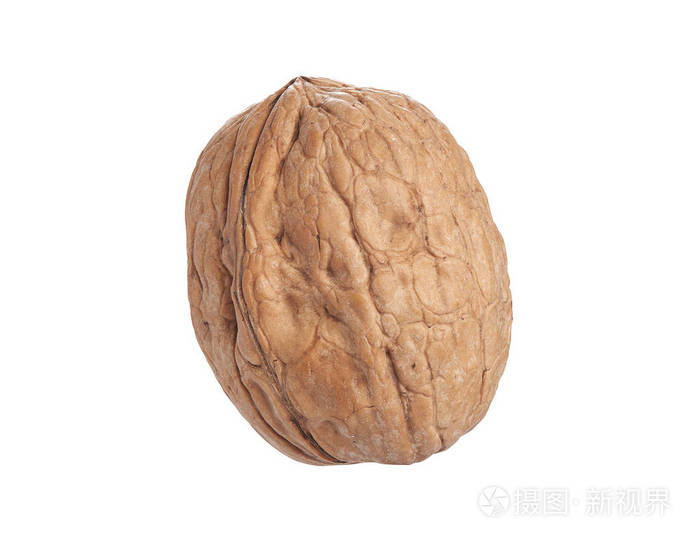 白色背景上孤立的单个完整核桃