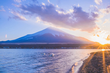 日落时的富士山和天鹅湖图片